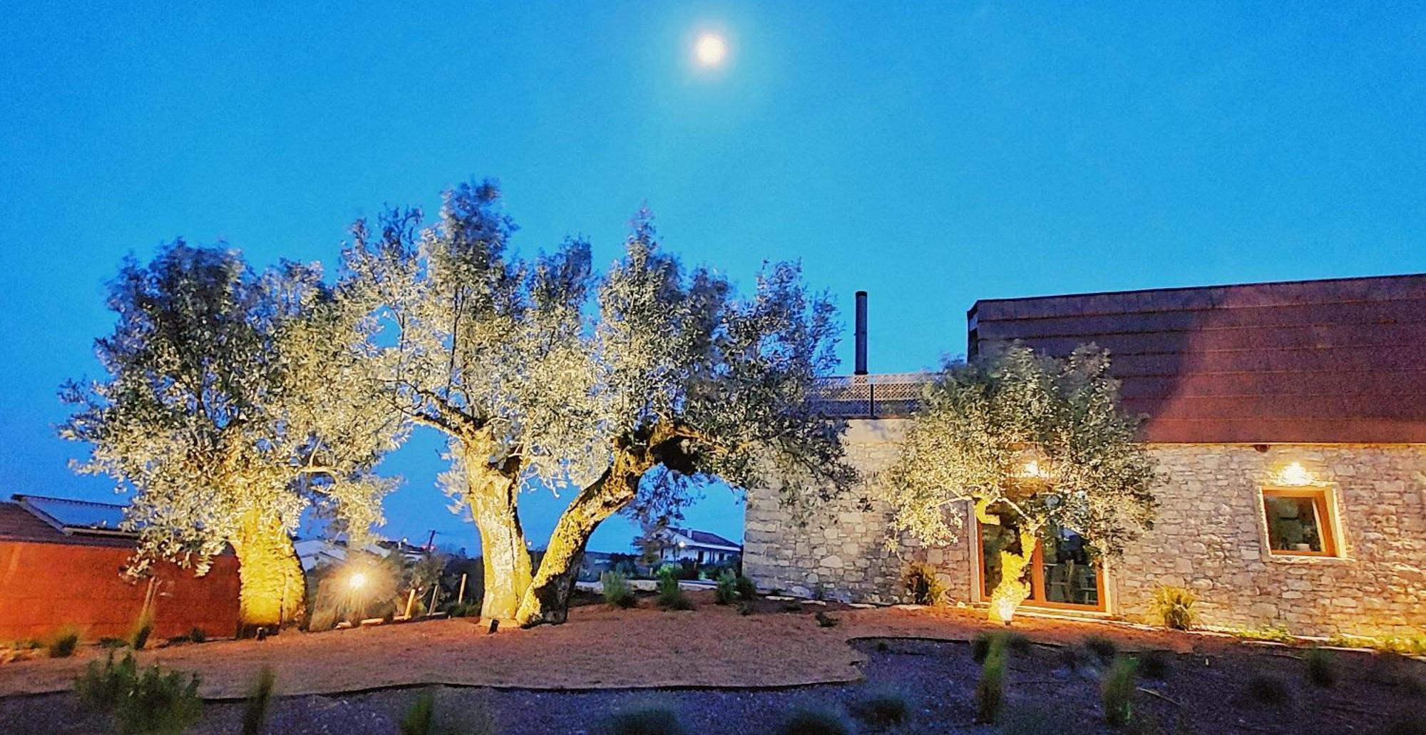 Casa Tosca *